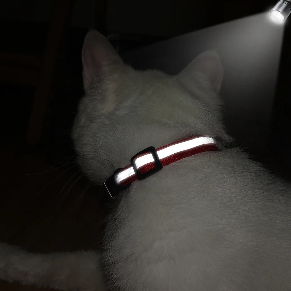 SafePaw ID Collar