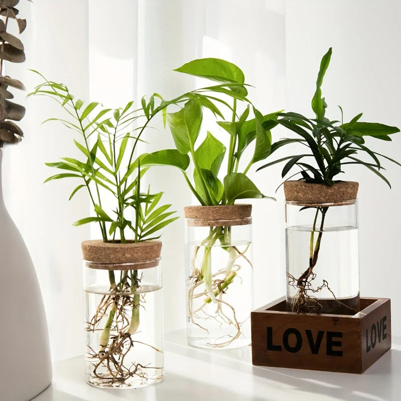 Bloom Glass Planter