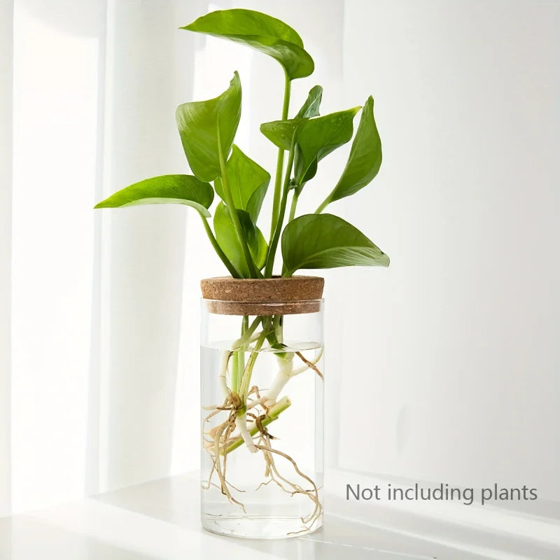 Bloom Glass Planter