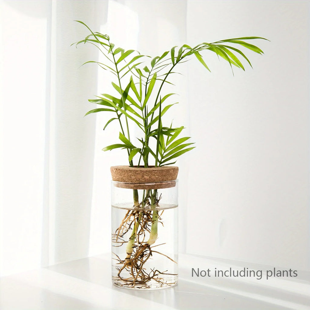 Bloom Glass Planter