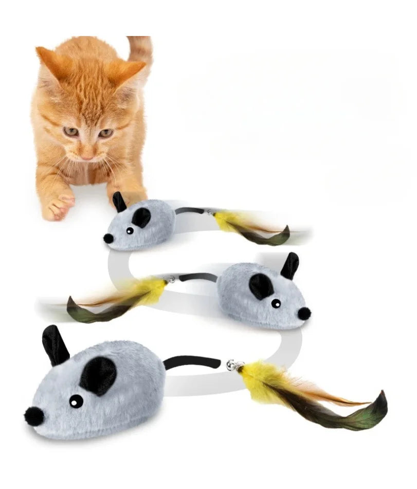 PurrChase Cat Toy