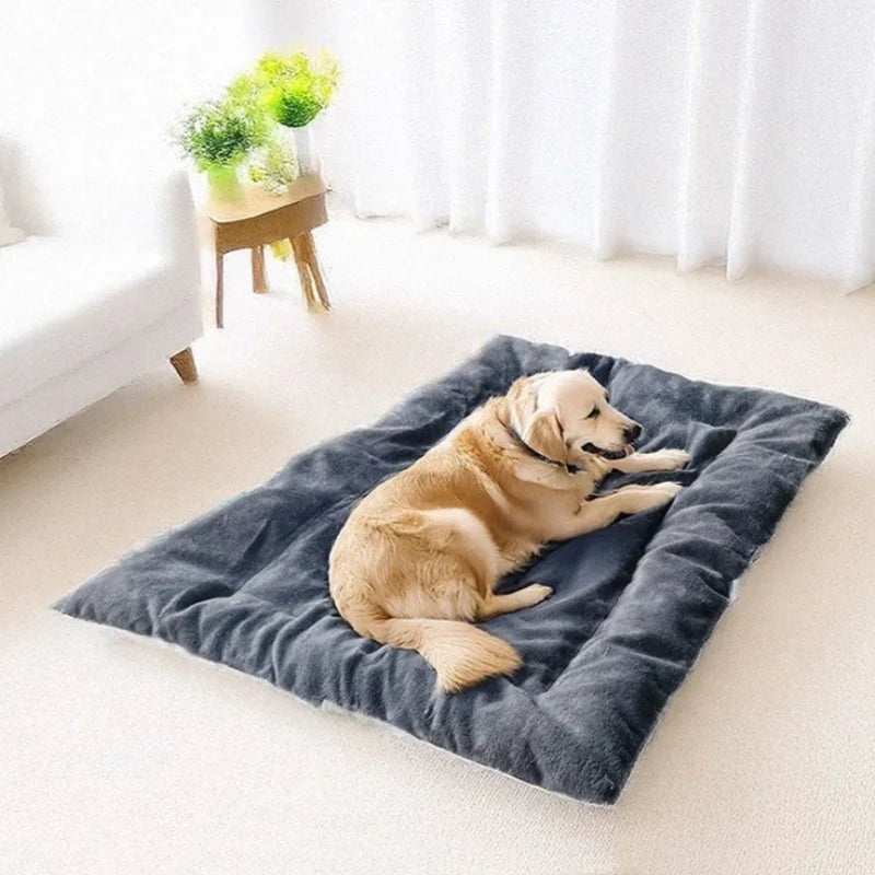 Paw Dream Bed