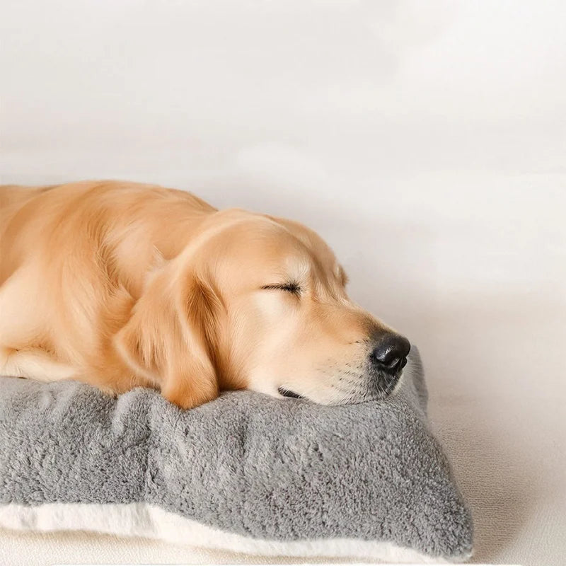 Paw Dream Bed