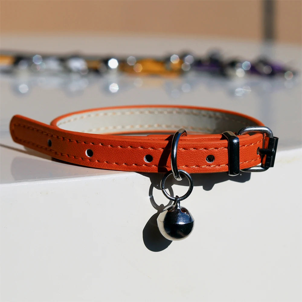 PetCharm Collar