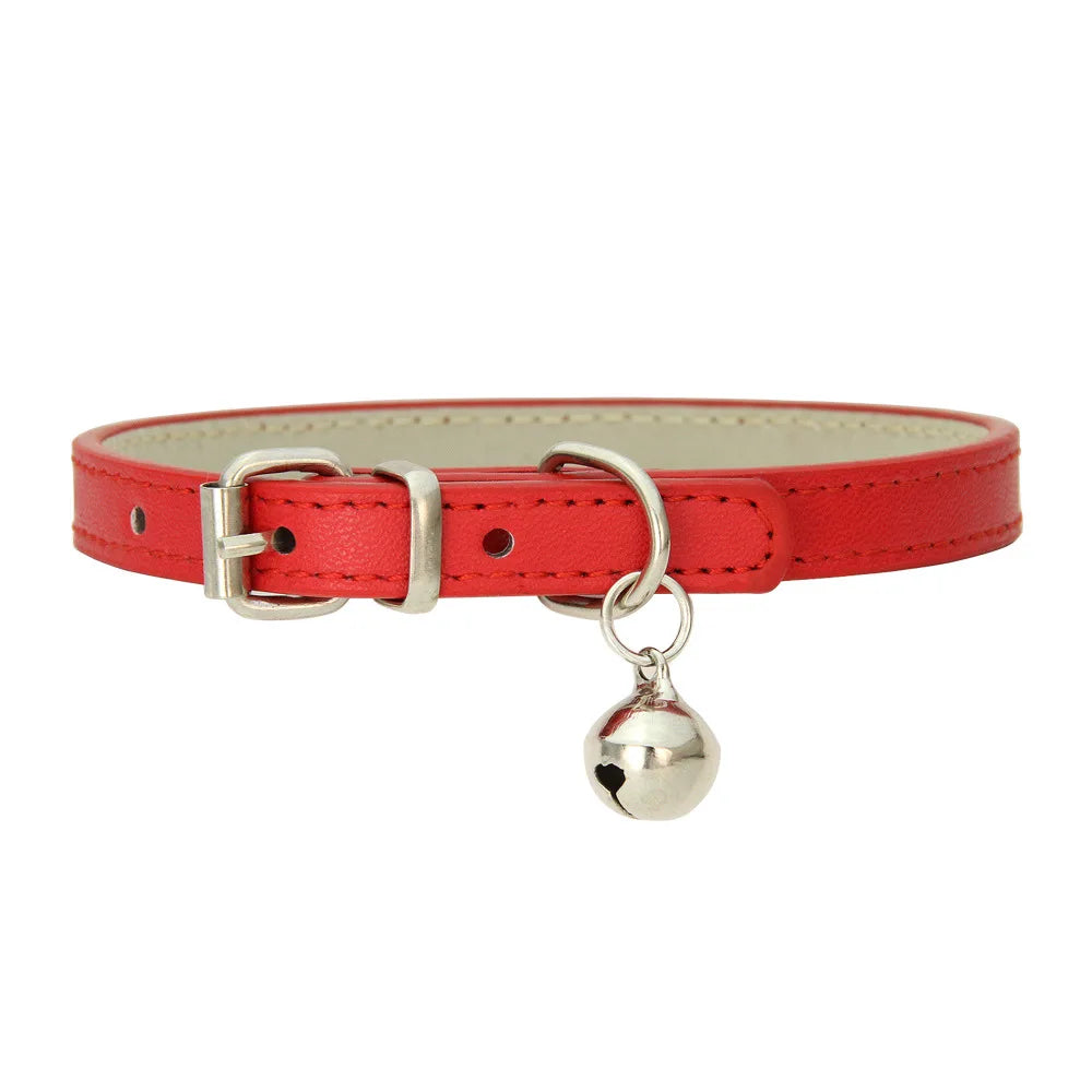 PetCharm Collar