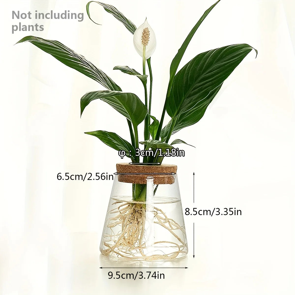 PureRoot Glass Vase
