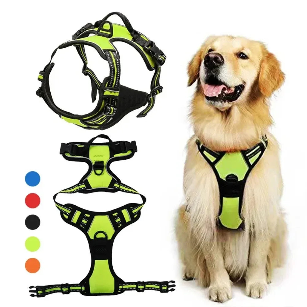 SafeFit Harness
