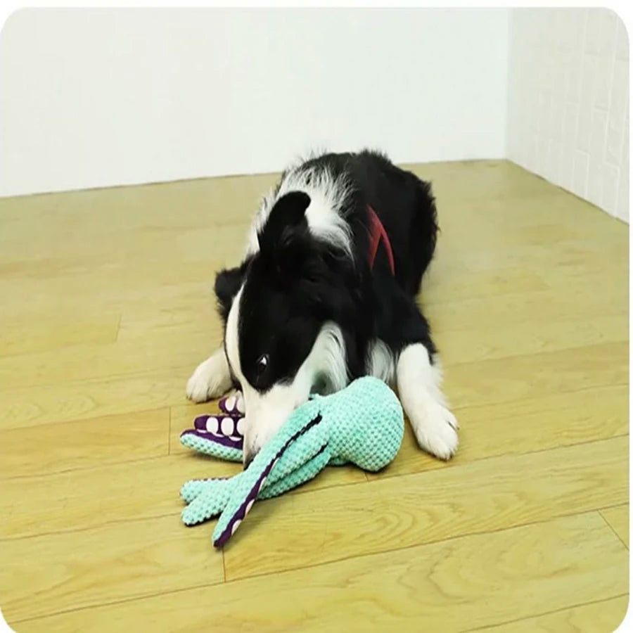 OctoSqueak