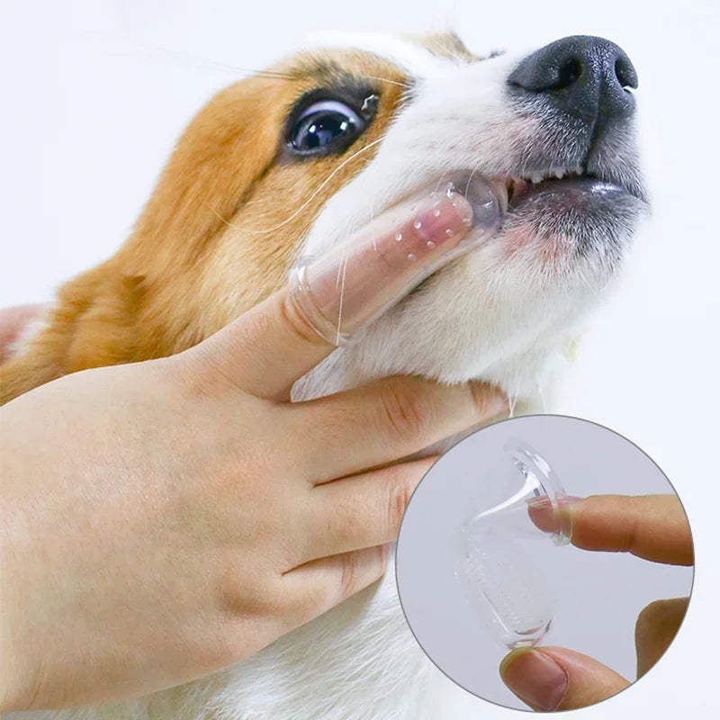 PawClean Dental Brush