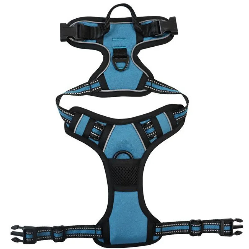 SafeFit Harness