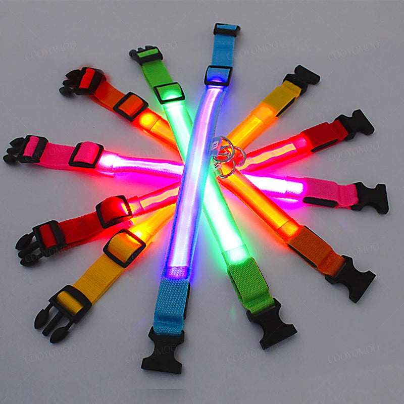 Rechargeable Glow Collar
