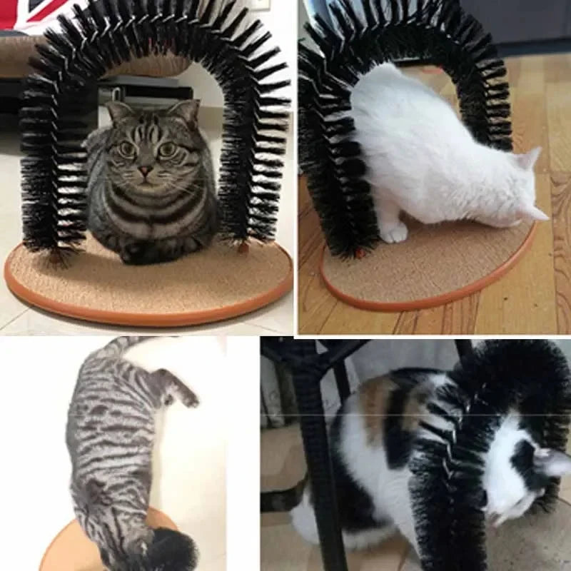 Kitty Massage Brush