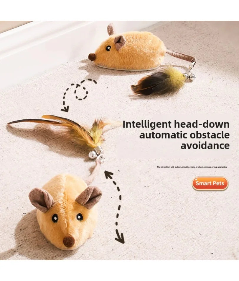 PurrChase Cat Toy