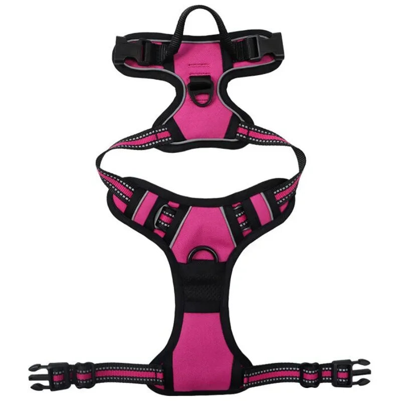 SafeFit Harness