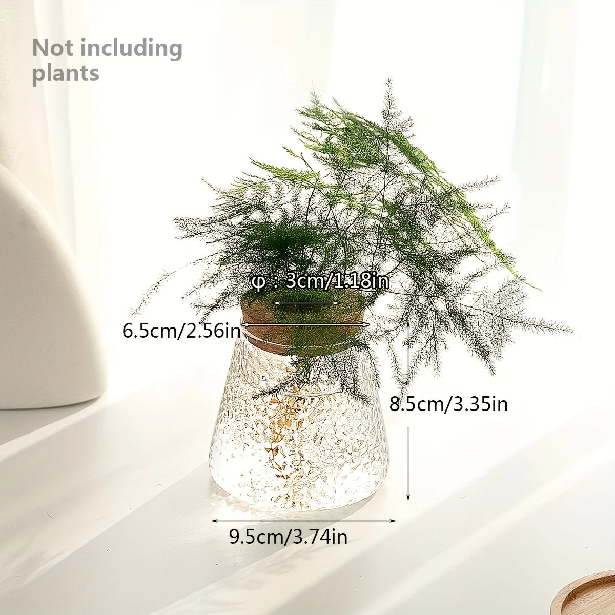 PureRoot Glass Vase