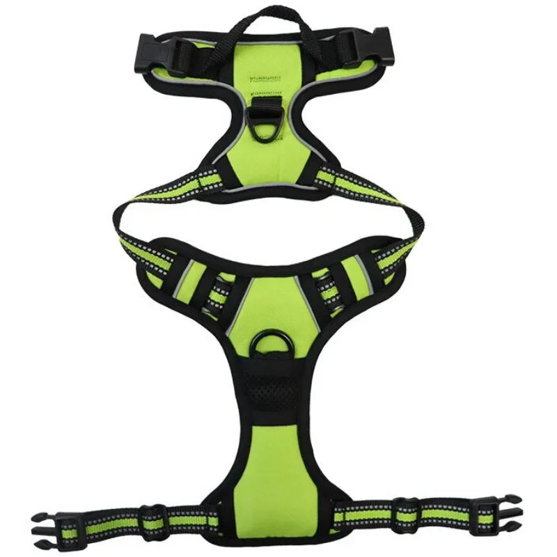 SafeFit Harness