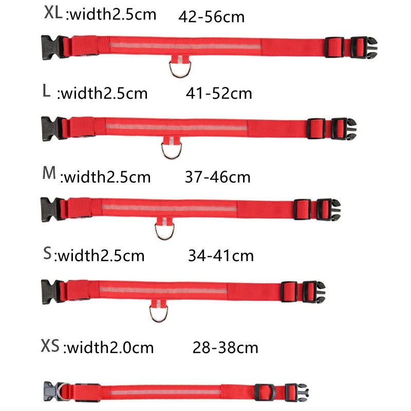 Rechargeable Glow Collar