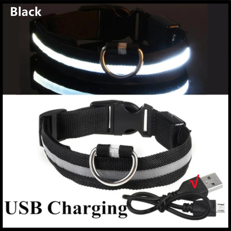 Rechargeable Glow Collar