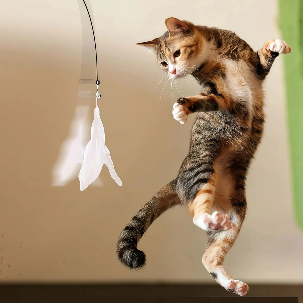 KittyWand