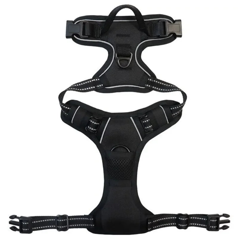 SafeFit Harness