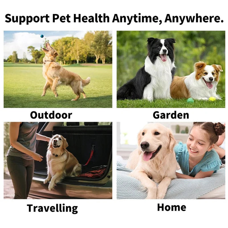 Dentipaw Wipes
