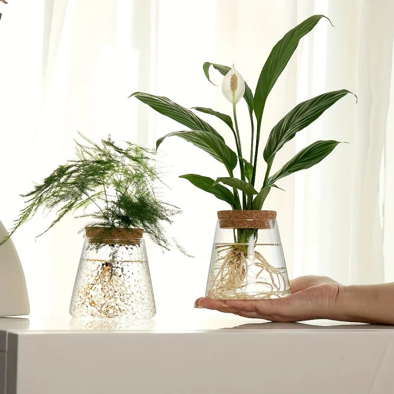 PureRoot Glass Vase