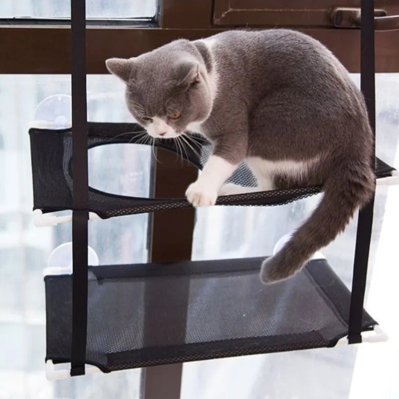 Kitty Lounge