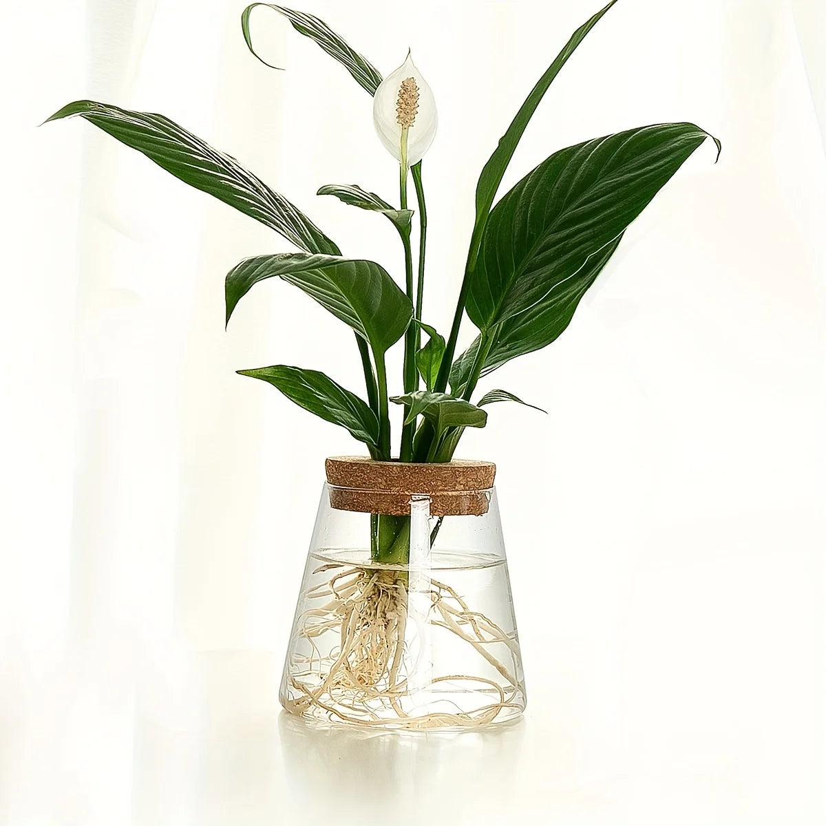 PureRoot Glass Vase