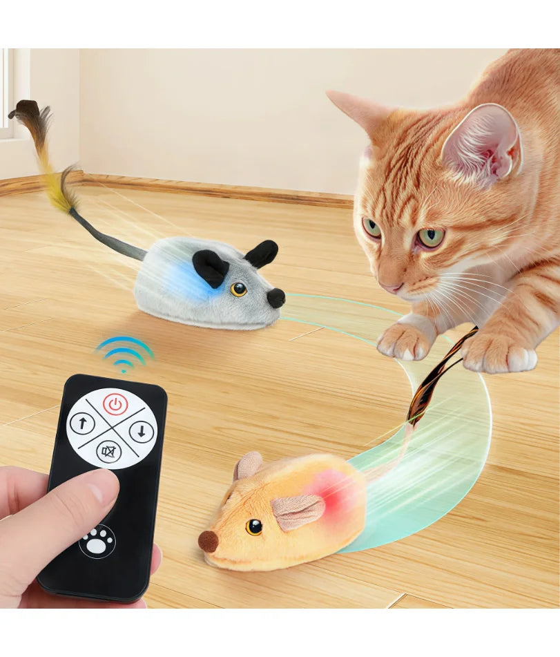 PurrChase Cat Toy
