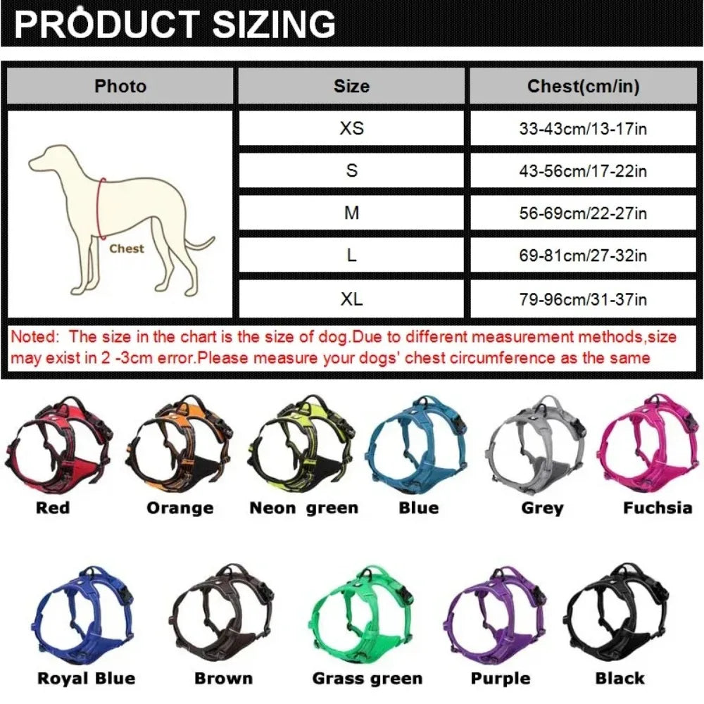SafeFit Harness
