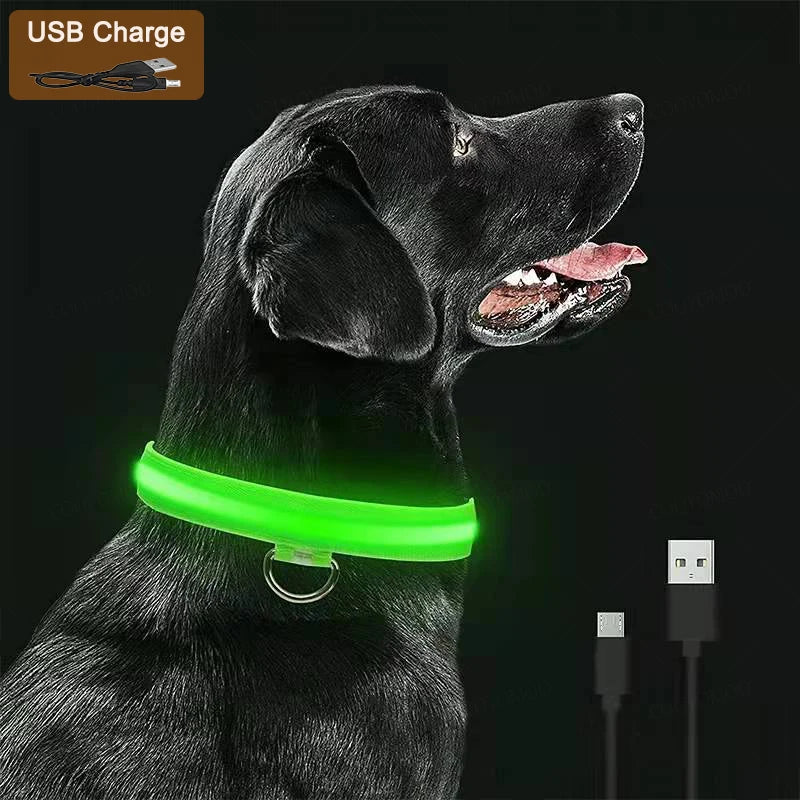 Rechargeable Glow Collar
