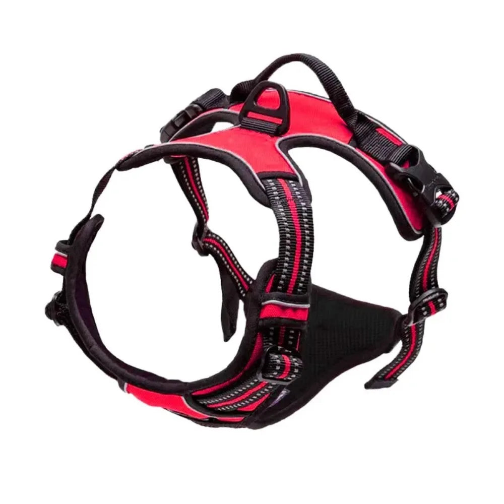SafeFit Harness