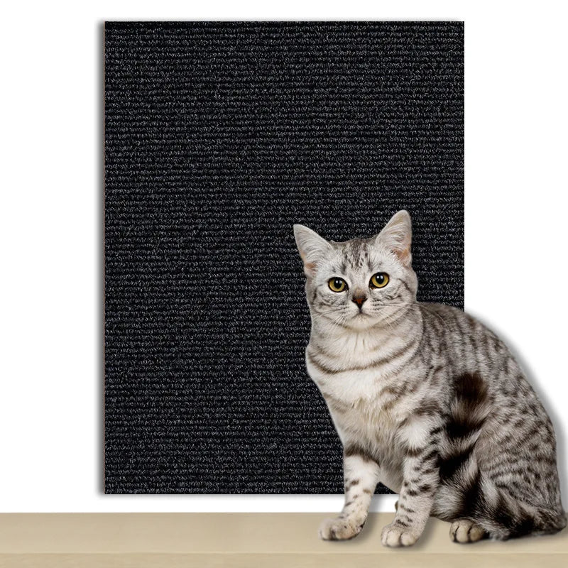 PawShield Mat