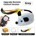 PurrChase Cat Toy