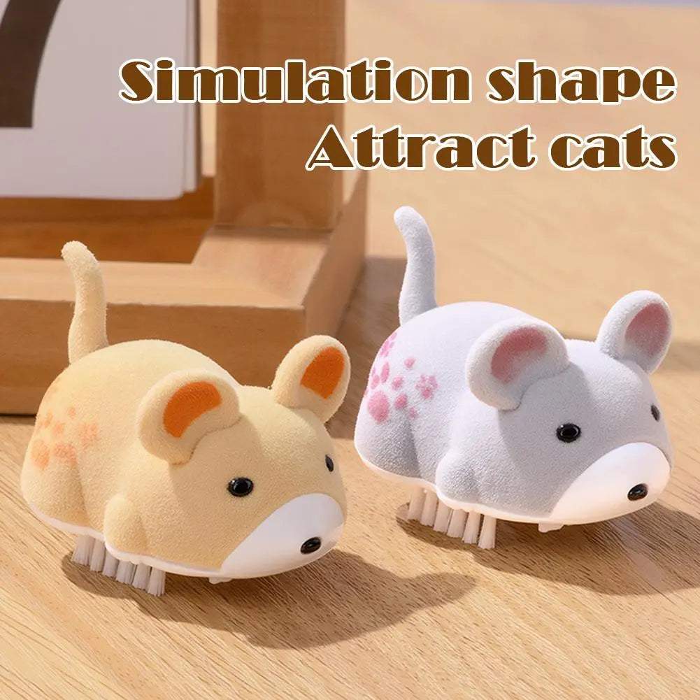 Purr Chase Mouse