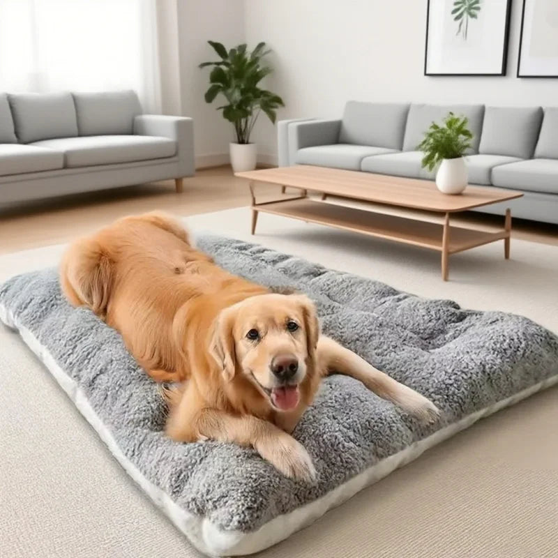 Paw Dream Bed