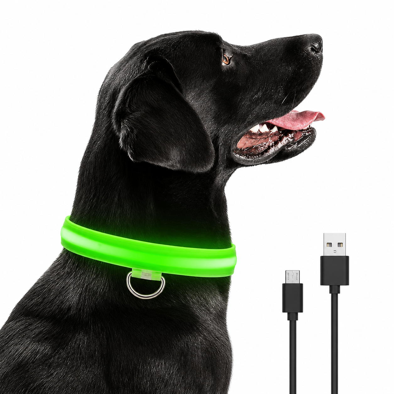 Rechargeable Glow Collar